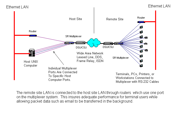 hybrid.gif (12148 bytes)